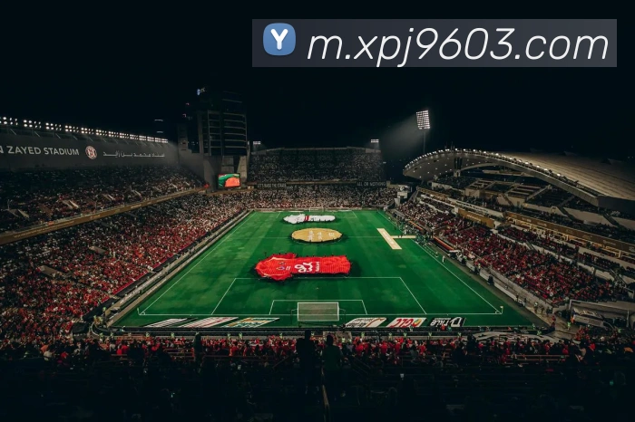 多媒体互动体验