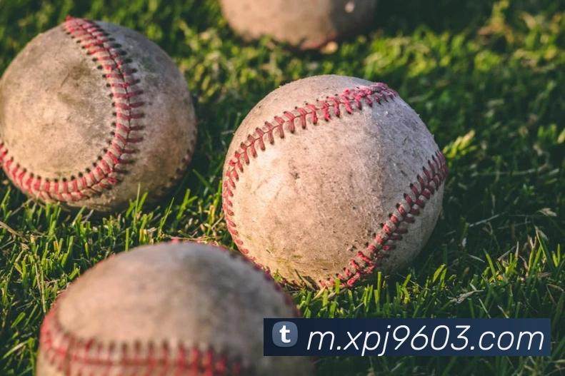 澳门新葡京官网APP 高清赛事图